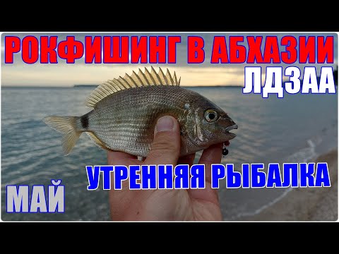 Видео: Рокфишинг в Абхазии. Утренняя рыбалка в Лдзаа
