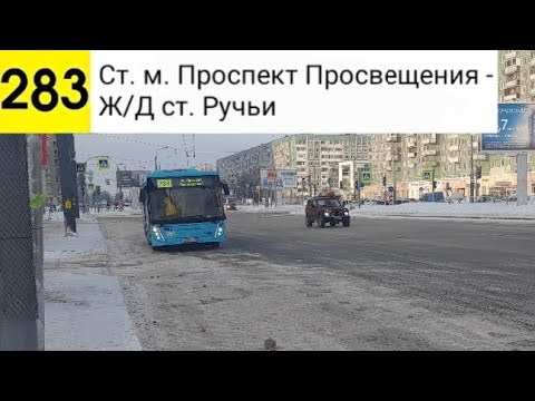 Видео: Автобус 283. Ст. м. Проспект Просвещения - Ж/Д ст. Руьчи