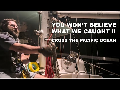 Видео: Вы не поверите, что мы поймали! Плавание через Тихий океан