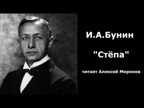 Видео: И.А.Бунин "Стёпа"