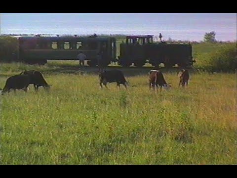 Видео: В эти дни тридцать лет тому назад…