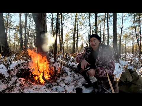 Видео: Топчу дороги.  ЛОСИ у пня.  С добычей меня.