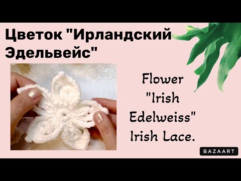 Видео: Flower “Irish Edelweiss” // Цветок "Ирландский эдельвейс».