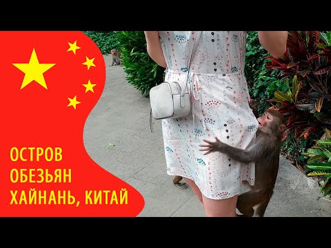 Видео: Остров Обезьян. Как добраться бесплатно и зайти дешевле (из Линшуя, Хайнань)