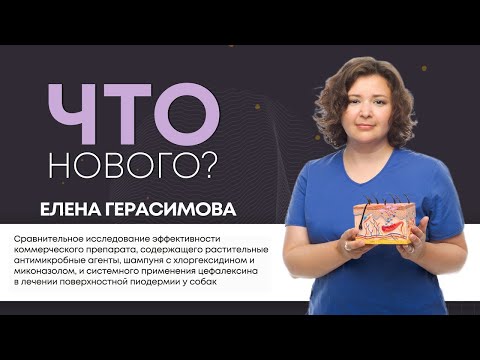 Видео: ЧТО НОВОГО? Сравнительное исследование эффективности препарата с антимикробными агентами