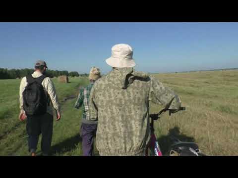 Видео: Прогулка по маршруту которым Игнатий Лапкин пас коров с отцом 20240713