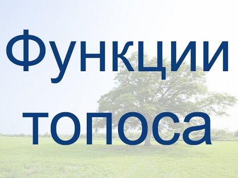Видео: Функции топоса