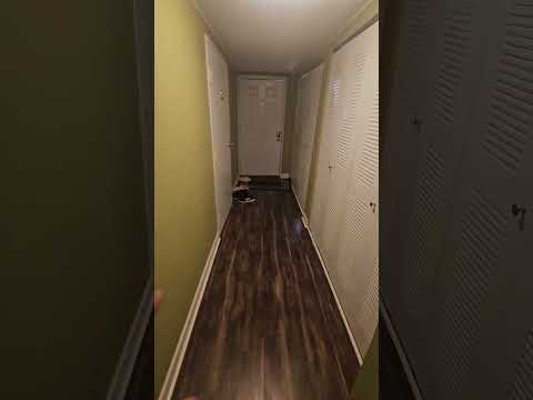 Видео: Обзор моего жилья за 300$ в США в 2025 #сша #жилье #домсша #аренда