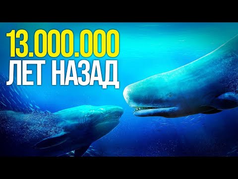 Видео: Что плавало вместе с Мегалодоном 13 Миллионов Лет Назад?
