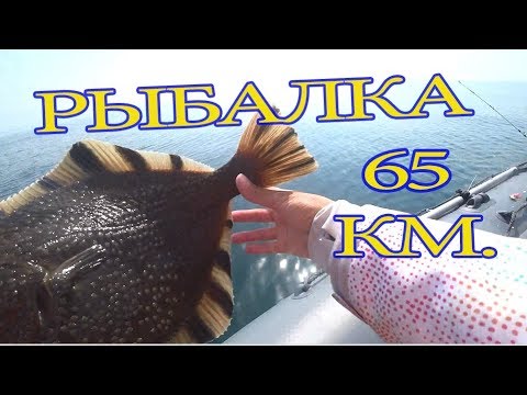 Видео: Рыбалка в море. Камбала . Минтай/ САХАЛИН