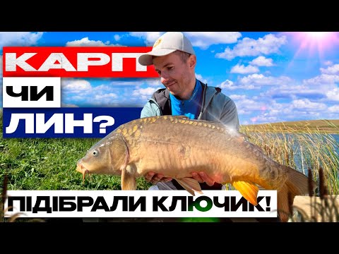 Видео: Короп та лин розривають — не встигаємо закидати вудки! | Кореличі