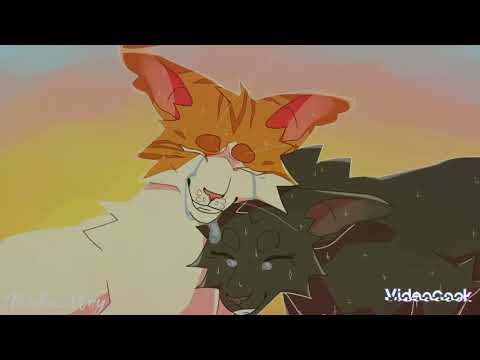 Видео: коты воители Листопад и Остролистая: Пара года