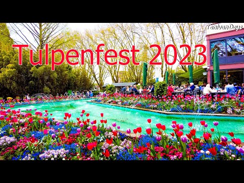 Видео: ТЮЛЬПАНЫ в Германии. Какие они разные...
