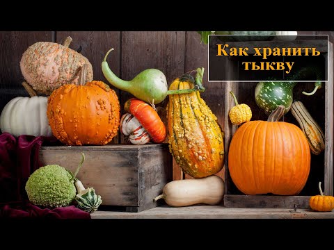 Видео: Как хранить тыкву в домашних условиях