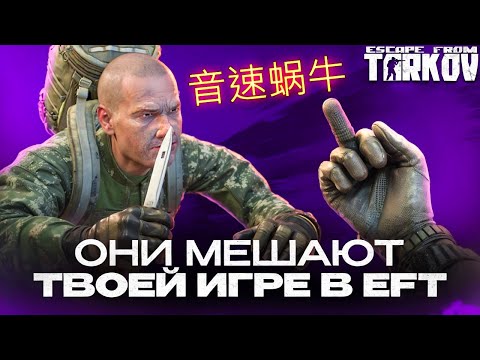 Видео: Это главные вонючки в Escape From Tarkov