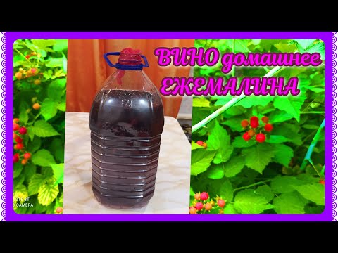 Видео: ВИНО из ЕЖЕМАЛИНЫ! Чудесное! АРОМАТНОЕ и КРАСИВОЕ!