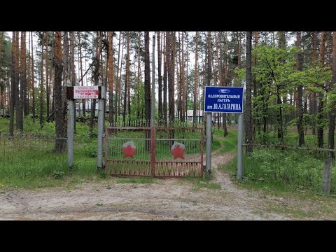 Видео: Чудесные образцы деревянного зодчества в заброшенном пионерском лагере имени Ю. А. Гагарина