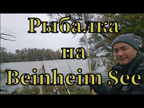 Видео: Активная рыбалка 🎣 на Bahnheim See клюнула ПЛОТВА #РЫБАЛКА #angeln #fishing #pêche #see #ПЛОТВА