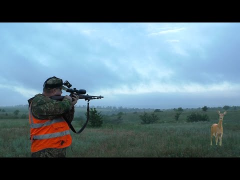 Видео: Охота на косулю на гону с манком. Такого количества я еще не встречал. Roe deer hunting with a decoy