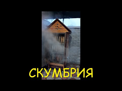 Видео: СКУМБРИЯ холодного и горячего копчения