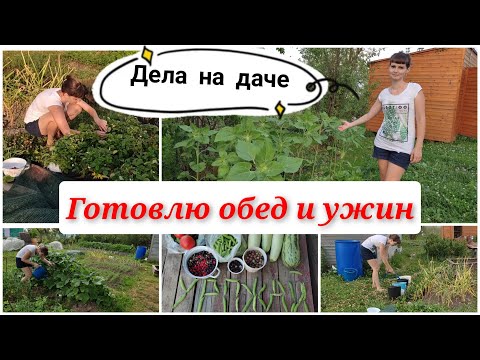 Видео: Дела на даче/ дачный сезон 2021/ урожай/ мотивация на уборку и готовку/ мой огород/ моя дача