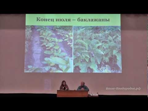 Видео: Как получать удовольствие от труда в саду-огороде