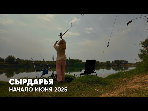 Видео: Снаряга  протестирована! Рыбалка на Сырдарье: короткий, но мощный выезд