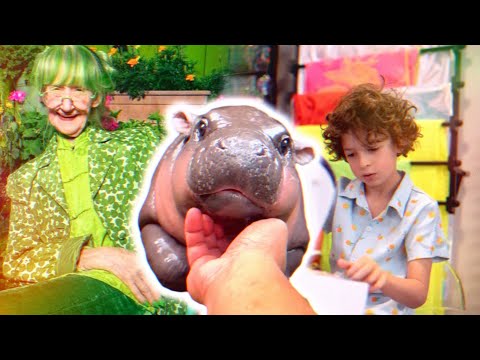 Видео: ШАЛЕНСТВО З ТІКТОКУ: 7-річний кутюр‘є, Green Lady, Moo Dang у небезпеці