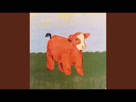 Видео: плюшевая корова