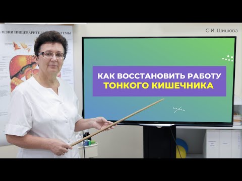 Видео: КАК ВОССТАНОВИТЬ РАБОТУ ТОНКОГО КИШЕЧНИКА [Шишова О.И.]