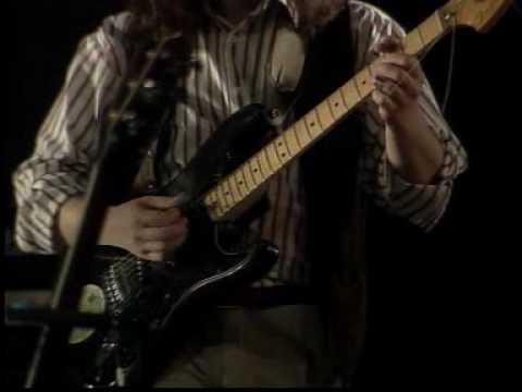 Видео: Аквариум - Максим лесник