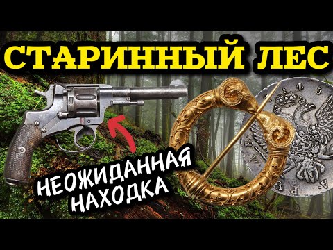 Видео: НАШЁЛ ИСЧЕЗНУВШЕЕ ПОСЕЛЕНИЕ В ЛЕСУ! СТОЛЬКО НАХОДОК ЕЩЕ НИКТО, НЕ НАХОДИЛ! ПОИСК С МЕТАЛЛОИСКАТЕЛЕМ