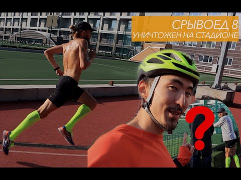 Видео: Срывоед 8. Консультант уничтожил легенду на стадионе. Королева дайхарда. БЕЗ ЦЕНЗУРЫ