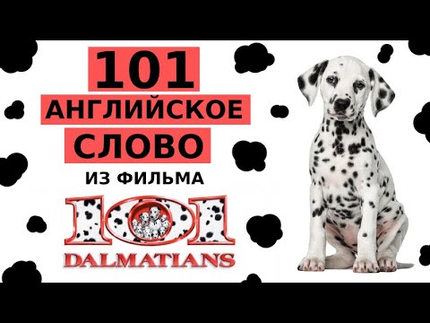 Видео: Урок английского. 101 СЛОВО из фильма 101 ДАЛМАТИНЕЦ