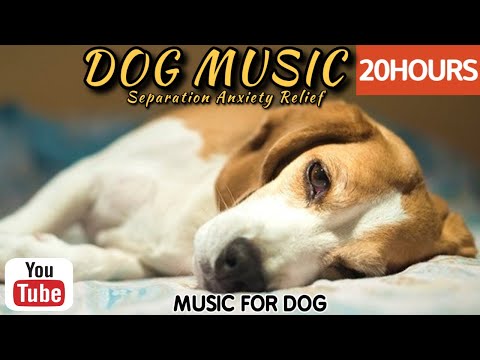 Видео: 20 часов любимой музыки собак🐶💖Музыка для сна собак 🐶🎵 Музыка для снятия беспокойства при разлуке🎵