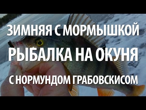 Видео: ЛОВЛЯ ОКУНЯ ЗИМОЙ на МОРМЫШКУ. НА РЫБАЛКЕ НОРМУНД ГРАБОВСКИС в ЯНВАРЕ