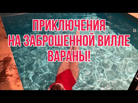 Видео: Встреча с вараном! Что интересного на водопадах Пхукета, заброшенные виллы Пхукета.
