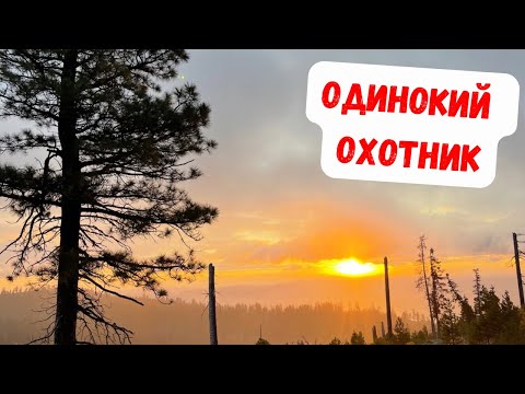 Видео: ОХОТА НА ОЛЕНЯ В ОДИНОЧКУ! АМЕРИКАНСКИЙ ЛЕС!