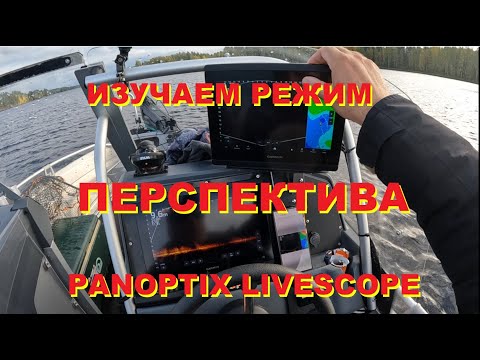 Видео: Режим ПЕРСПЕКТИВА  PANOPTIX LIVESCOPE
