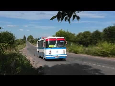 Видео: Колонна автобусов ЛАЗ-695Н, село Караевичи