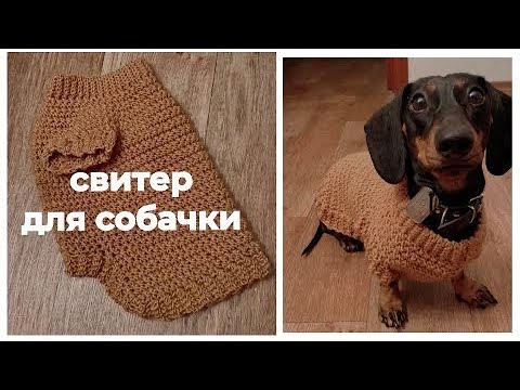 Видео: свитер для собаки КРЮЧКОМ ( размер s и м )