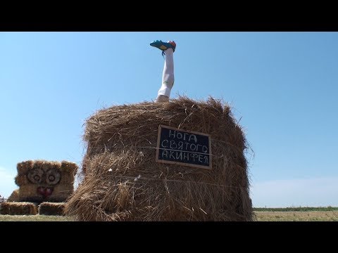 Видео: Бахчу Пономарёвых могут закрыть