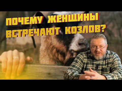 Видео: ПОЧЕМУ ЖЕНЩИНЫ ВСТРЕЧАЮТ КОЗЛОВ?