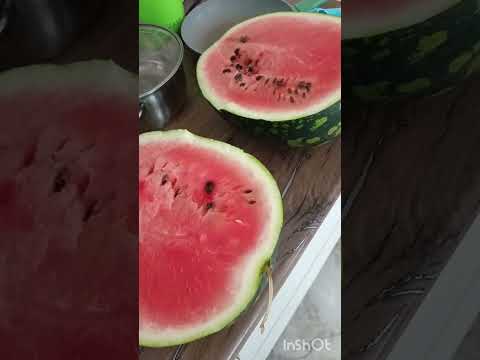 Видео: 17 октября Анапа, жизнь на Юге. Переезд из Сибири. Длительное путешествие. Зимовка