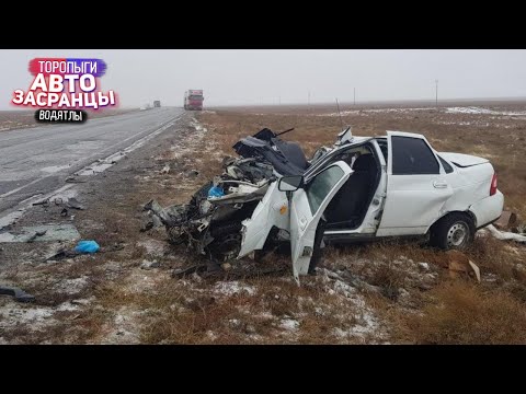 Видео: Когда купили себе машину и права! Январьнутые Торопыги и Водятлы на Дороге! ДТП