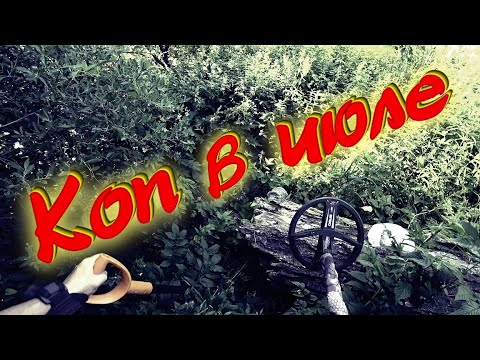 Видео: Коп в июле