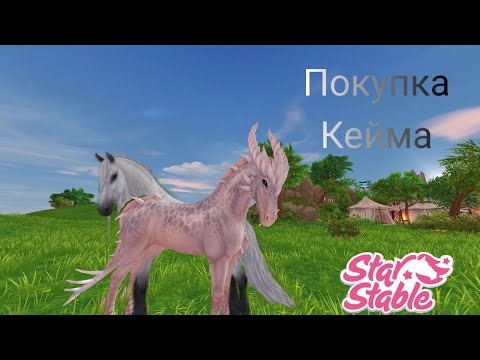 Видео: Покупка Кеймана!//Star Stable Online