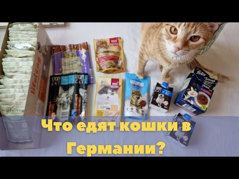 Видео: Обзор чем кормят кошек в Германии. Снеки и лакомства для кошек.