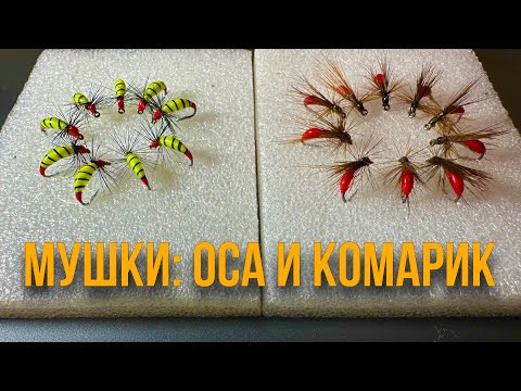 Видео: Мушки: оса и комарик