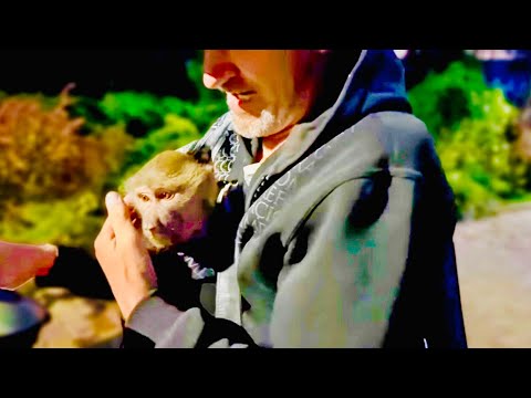 Видео: Мы ПРИЕХАЛИ ПОЗДНО, но Люся ждет нас и не идет  спать! Папина КУРОЧКА спряталась под кофту!